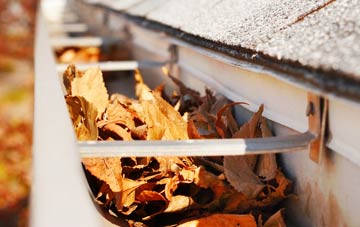 Dudleston Grove gutter cleaning companies